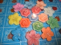 Copy of SAM_3426