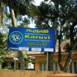 Karuvi changed its location on 4th March 2014